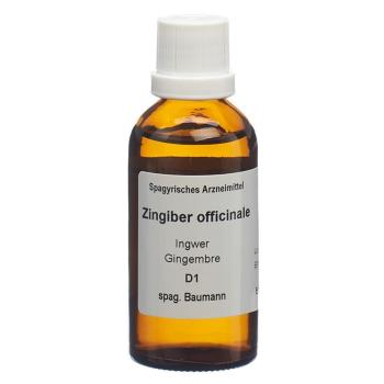 SPAGYROS SPAGYR Zingiber officinale