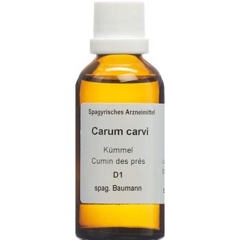 SPAGYROS SPAGYR Carum carvi