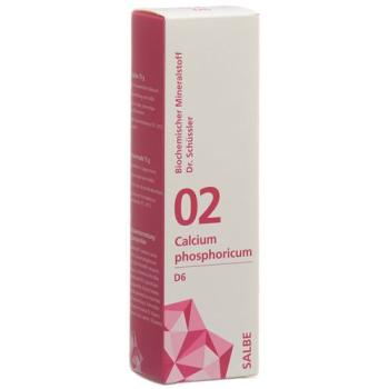 PHYTOMED SCH&Uuml;SSLER Nr2 Calcium phosphoricum ointment D 6 75 g