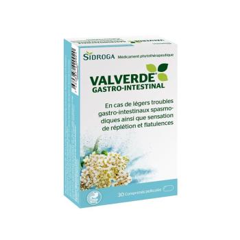 Valverde Magen-Darm 60 tablets