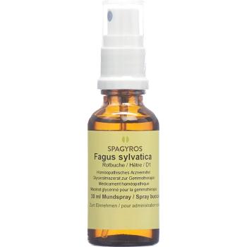 SPAGYROS GEMMO Fagus sylvatica Glyc Maz D 1