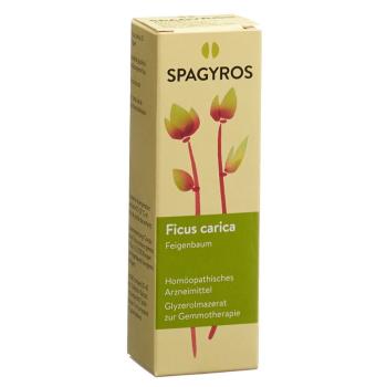 SPAGYROS GEMMO Ficus carica Glyc Maz D 1
