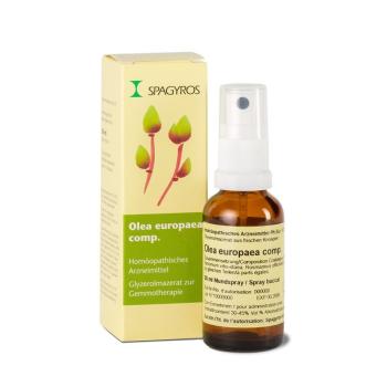 SPAGYROS GEMMO Olea europaea Glyc Maz D 1