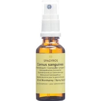 SPAGYROS GEMMO Cornus sanguin Glyc Maz D 1