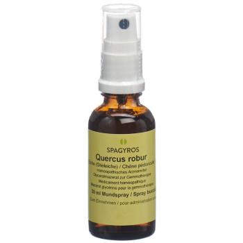SPAGYROS GEMMO Quercus robur Glyc Maz D 1