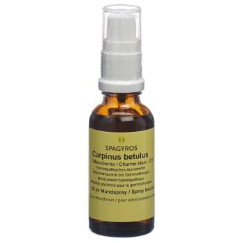 SPAGYROS GEMMO Carpinus betul Glyc Maz D 1