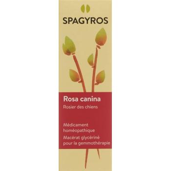 SPAGYROS GEMMO Rosa canina Glyc Maz D 1