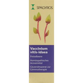 SPAGYROS GEMMO Vacc vit idaea Glyc Maz D 1