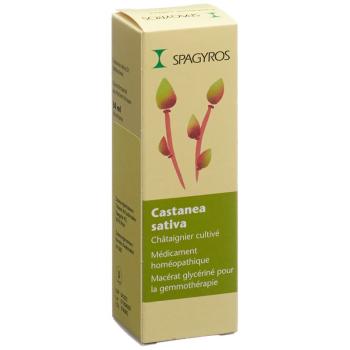 SPAGYROS GEMMO Castanea sativa Glyc Maz D 1