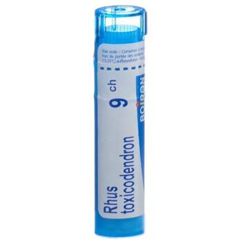 Boiron Rhus toxicodendron Gran C 9 4 g