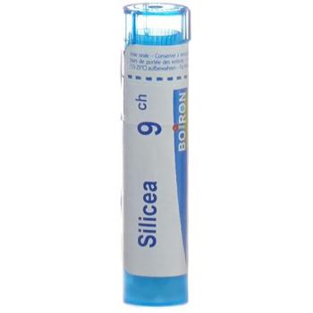 Boiron Silicea Gran C 9 4g