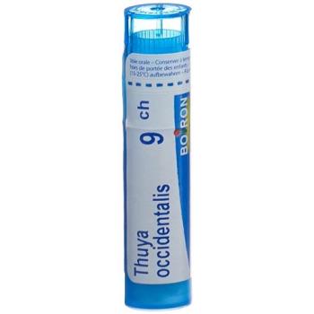 Boiron Thuya occidentalis Gran C 9 4g