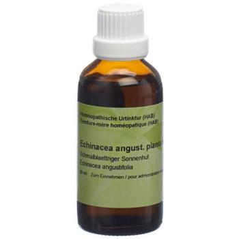 Spagyros Echinacea angustifolia mother tint 50 ml