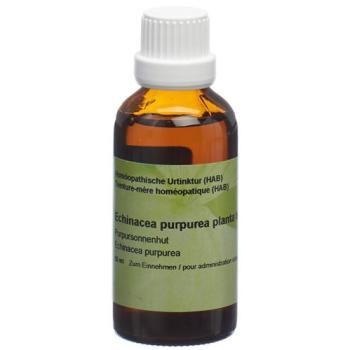 Spagyros Echinacea purpurea mother tint 50 ml