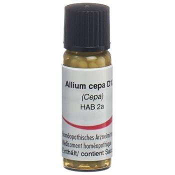 OMIDA Allium cepa Glob D 12