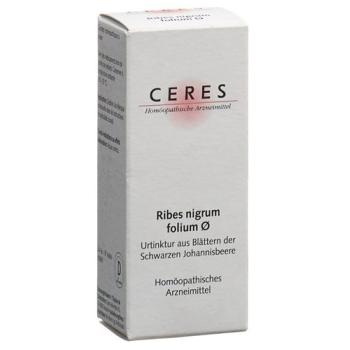 Ceres Ribes nigrum folium mother tint 20 ml