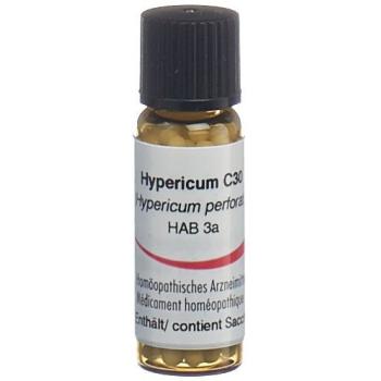 Omida Hypericum Glob C 30 2g