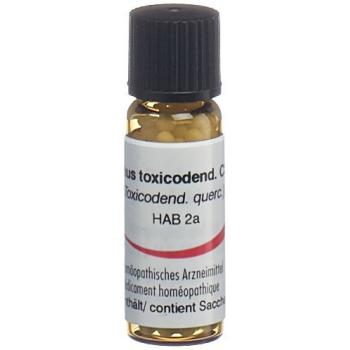 Omida Rhus toxicodendron Glob C 30 2 g