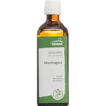 HEIDAK SPAGYRIK Mandragora Bottle 500 ml