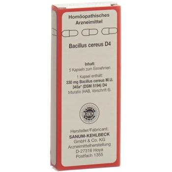 SANUM Bacillus cereus capsules D 4 5 pcs