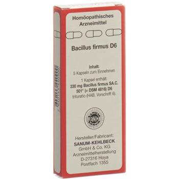 Sanum Bacillus firmus Kaps D 6 5 pcs