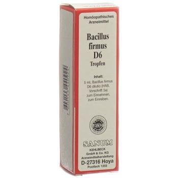 Sanum Bacillus firmus drops D 6 5 ml