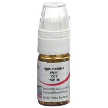 Omida Apis mellifica Glob D 12 with dosing aid 4 g