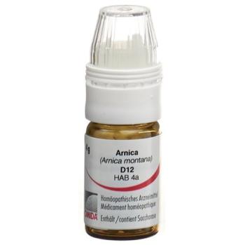 Omida Arnica montana Glob D 12 with dosing aid 4 g