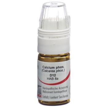Omida Calcium phos Glob D 12 with dosing aid 4 g
