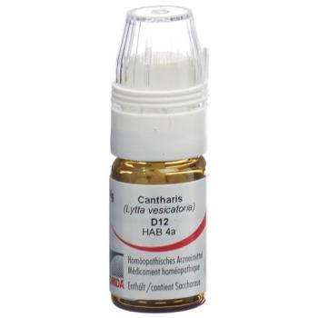 Omida Cantharis Glob D 12 with dosing aid 4 g
