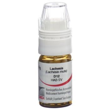 Omida Lachesis Glob D 12 with dosing aid 4 g
