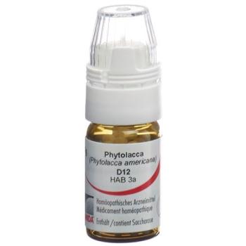 Omida Phytolacca Glob D 12 with dosing aid 4 g