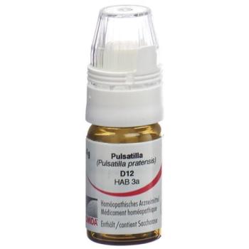 Omida Pulsatilla Glob D 12 with dosing aid 4 g