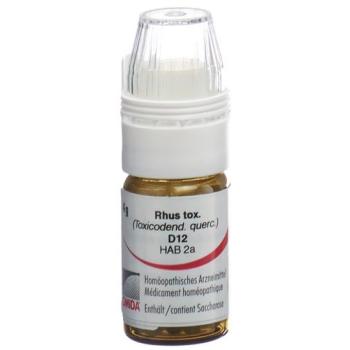 Omida Rhus toxicodendron Glob D 12 with dosing aid 4 g