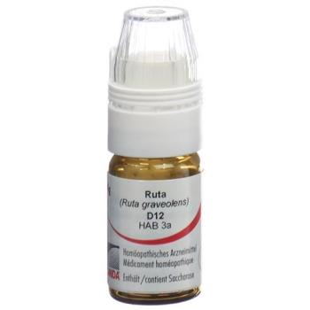 Omida Ruta Glob D 12 with dosing aid 4 g