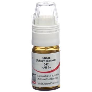 Omida Silicea Glob D 12 with dosing aid 4 g