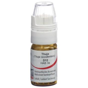 Omida Thuja Glob D 12 with dosing aid 4 g