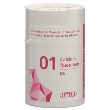 PHYTOMED SCH&Uuml;SSLER Nr1 Calcium fluoratum Tabl D 6 50 g