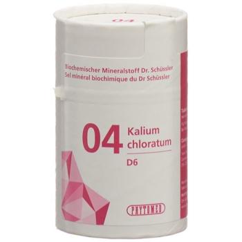 PHYTOMED SCH&Uuml;SSLER Nr4 potassium chloratum tablets D 6 100 g