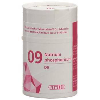 PHYTOMED SCH&Uuml;SSLER Nr9 sodium phosphoricum Tabl D 6 100 g