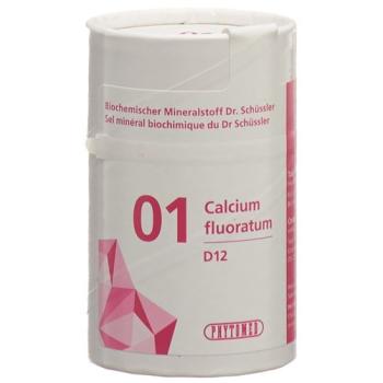 PHYTOMED SCH&Uuml;SSLER Nr1 Calcium fluoratum Tabl D 12 100 g