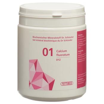 PHYTOMED SCH&Uuml;SSLER Nr1 Calcium fluoratum Tabl D 12 500 g