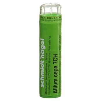 SN Allium cepa Gran CH 7 4g