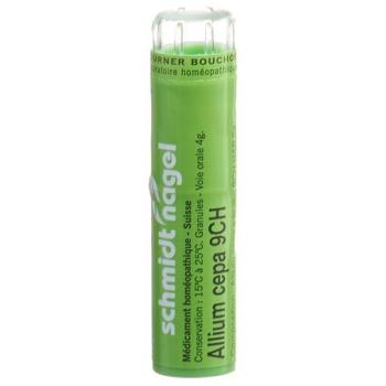 SN Allium cepa Gran CH 9 4g