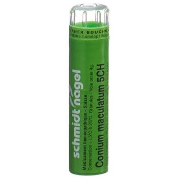 SN Conium maculatum Gran CH 5 4g
