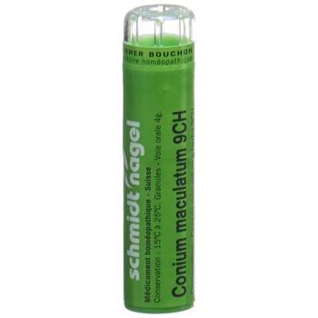 SN Conium maculatum Gran CH 9 4 g