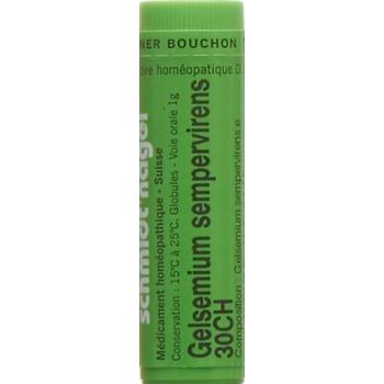SN Gelsemium sempervirens Glob CH 30 1g