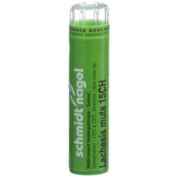 SN Lachesis muta Gran CH 15 4g