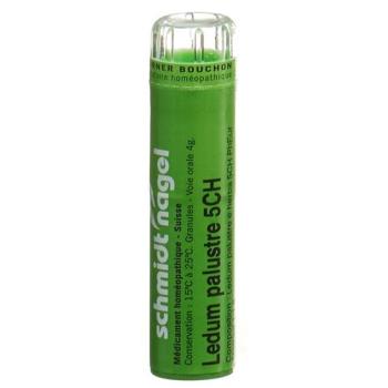 SN Ledum palustre Gran CH 5 4 g