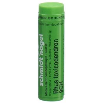 SN Rhus Toxicodendron Glob CH 9 1g